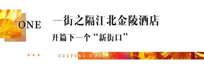 南京金陵星图（售楼处）-2024新首页-金陵星图最新发布官方网站(图2)