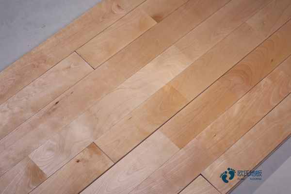 【健康滕州 体育先行】滕州市乒乓球运动协会2023-2024年度积分排名32强总决赛成功举办