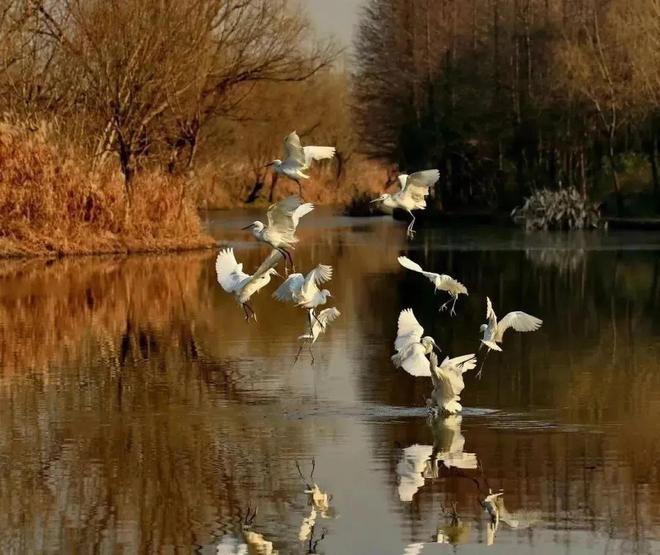 球盟会：曾经的“远东第一体育场”现在的时髦运动地——江湾体育场(图6)