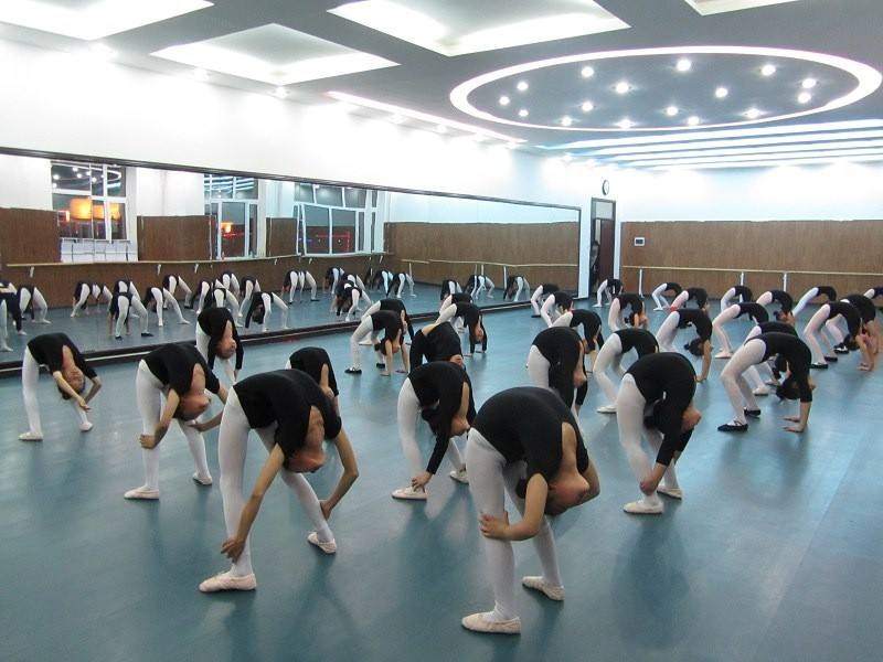 球盟会：高弹性舞蹈地胶