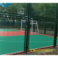 2024中国小学生篮球联赛开幕：未来之星闪耀蓉城