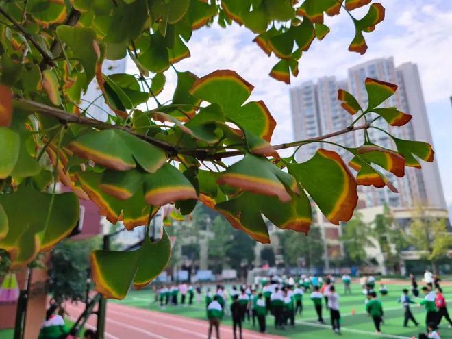 拥有829张乒乓球桌、学生每天锻炼3小时？这所学校是怎么做到的？(图6)