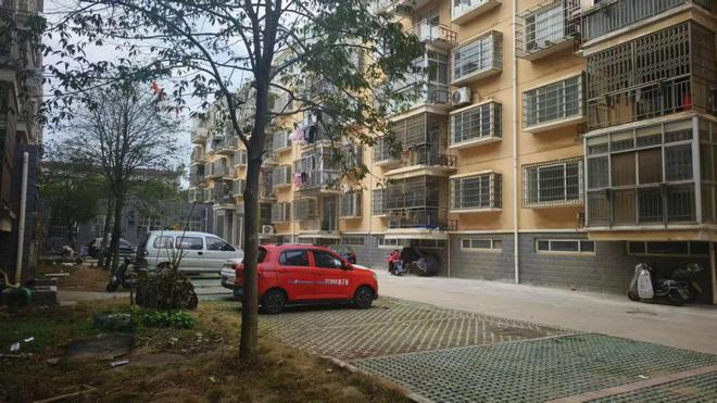 16岁寒假工因意外离世：一个拆迁家庭跌落之后的悲剧(图6)