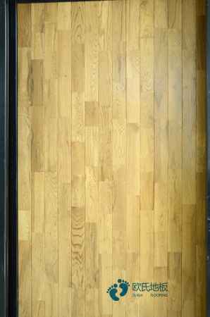 北京市定向运动协会关于组队参加2024年全国定向锦标赛的通知