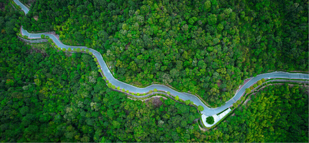 筹办十五运会广深谋求全面高质量发展的蝶变(图3)