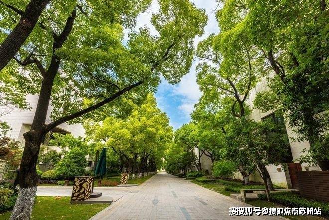 大宁揽翠艺墅(售楼处)首页网站-2024楼盘评测_大宁揽翠艺墅售楼处样板间价格户型(图4)