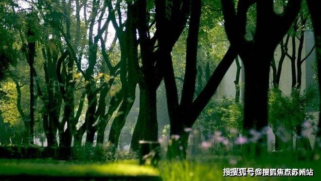 大宁揽翠艺墅(售楼处)首页网站-2024楼盘评测_大宁揽翠艺墅售楼处样板间价格户型(图7)
