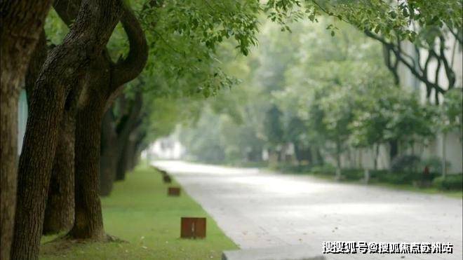 大宁揽翠艺墅(售楼处)首页网站-2024楼盘评测_大宁揽翠艺墅售楼处样板间价格户型(图8)