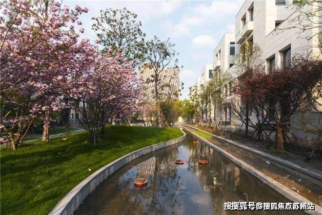 大宁揽翠艺墅(售楼处)首页网站-2024楼盘评测_大宁揽翠艺墅售楼处样板间价格户型(图9)