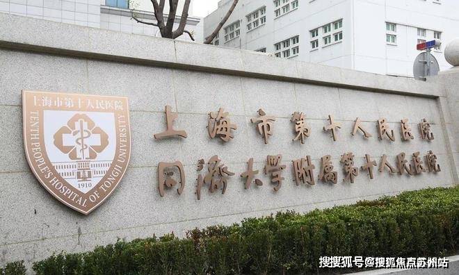 大宁揽翠艺墅(售楼处)首页网站-2024楼盘评测_大宁揽翠艺墅售楼处样板间价格户型(图14)
