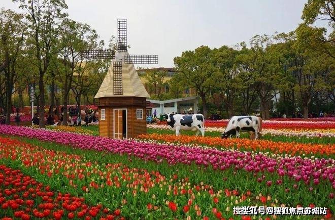 大宁揽翠艺墅(售楼处)首页网站-2024楼盘评测_大宁揽翠艺墅售楼处样板间价格户型(图15)