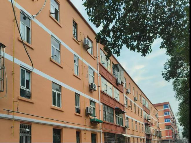 总结2024！布局2025！宝鸡的这些大事与你的生活息息相关！(图4)