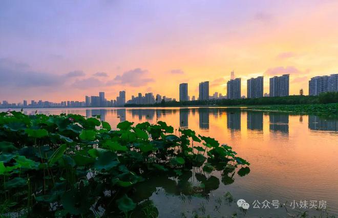 建发望湖售楼处丨建发望湖欢迎您丨武汉售楼中心首页认证(图13)