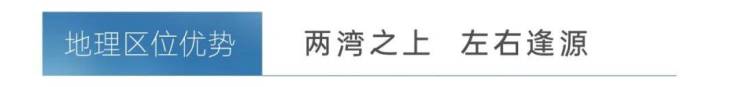 新湖海棠春晓(营销中心)首页网站-新湖海棠春晓售楼处-欢迎您-楼盘详情最新价格备案价@售楼处400服务电话(图4)