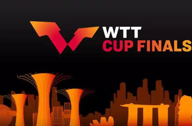 央视发声！站台樊振东WTT四大金主曝光全来自中国(图19)