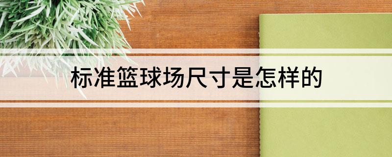 球盟会：标准篮球场尺寸是怎样的