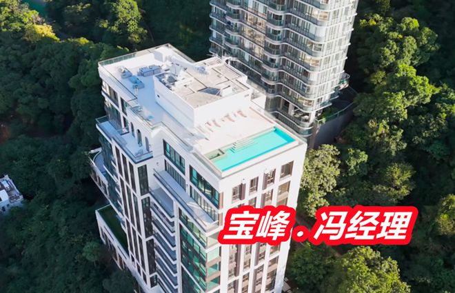 香港宝峰小区是哪年开发的多少年楼龄了香港宝峰23号户型图(图2)