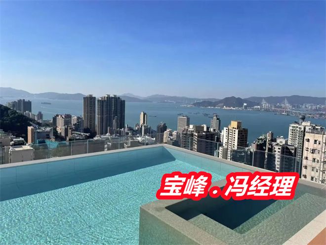 香港宝峰小区是哪年开发的多少年楼龄了香港宝峰23号户型图(图3)
