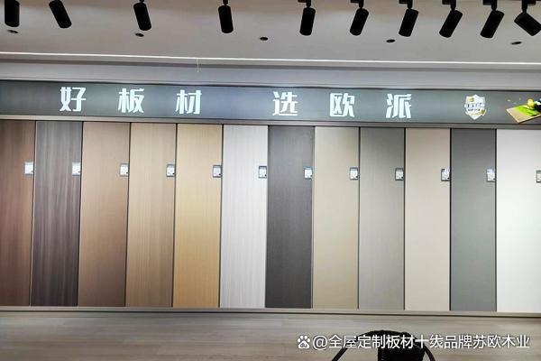 球盟会入口：中国地板十大牌包括哪些品牌(图3)