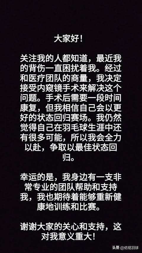 安赛龙发文将暂别赛场！