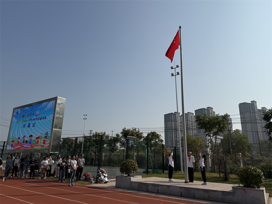 2024中国体育奇迹：从巴黎奥运到世界竞技的耀眼篇章