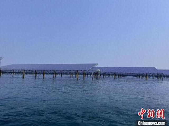 中国首个桩基固定式海上光伏项目全容量并网发电(图1)