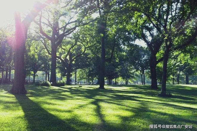 大华·公园柏翠(售楼处官方网站)大华·公园柏翠售楼处(图17)