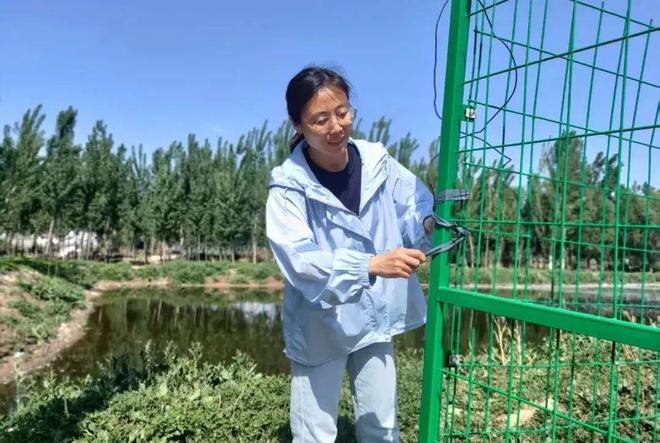 德州市派帮扶规划公示涉及黄河涯、抬头寺、赵虎镇这些村将有新面貌
