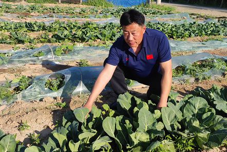 德州市派帮扶规划公示涉及黄河涯、抬头寺、赵虎镇这些村将有新面貌(图5)