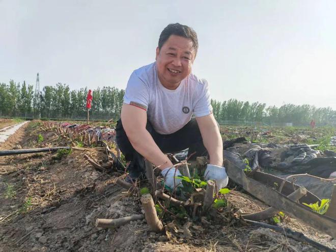 德州市派帮扶规划公示涉及黄河涯、抬头寺、赵虎镇这些村将有新面貌(图11)