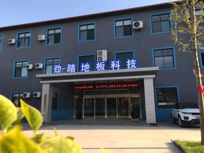 劲踏地板助力2025WTT常规挑战赛 以专业品质赋能国际乒坛盛事(图2)