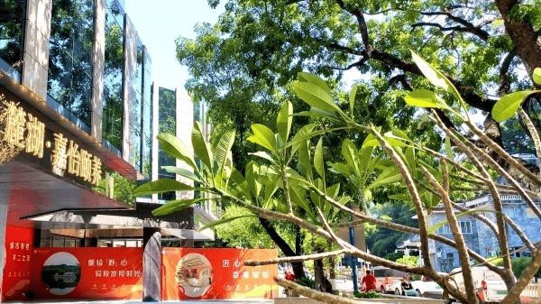 球盟会：广州市嘉怡颐养院详情介绍-嘉怡颐养院最新居住条件(图3)