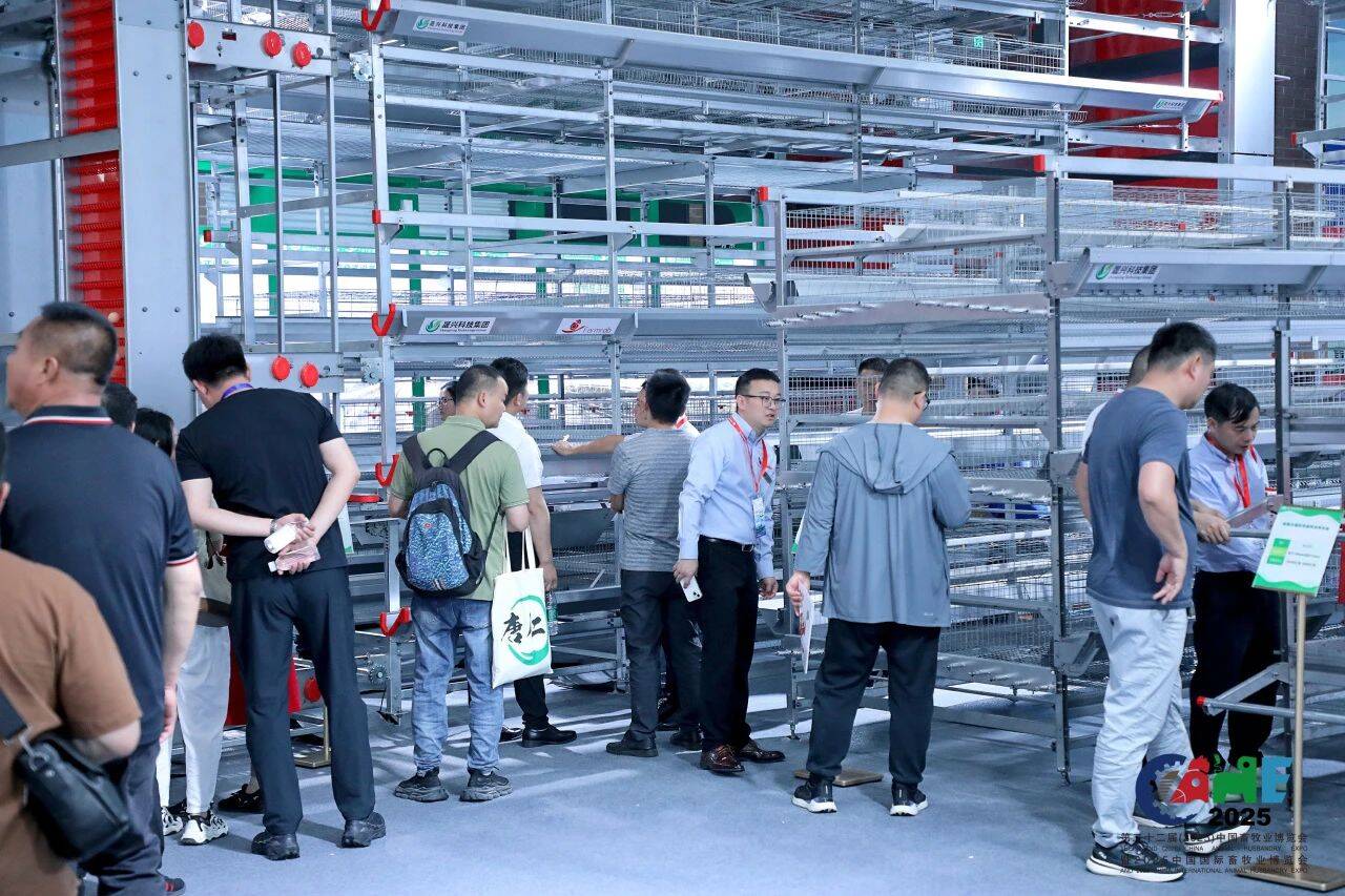 2025中国畜牧业博览会在青岛西海岸新区开幕(图5)