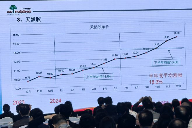 2025年将是中国轮胎最难熬的一年(图2)