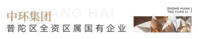 上海中环桃源里(营销中心)首页网站-中环桃源里销售中心(售楼处)-楼盘欢迎您-地址-价格-户型-小区环境-楼盘详情-交房时间-周边配套-售楼处电话(图6)