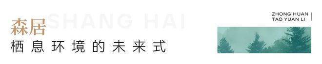 上海中环桃源里(营销中心)首页网站-中环桃源里销售中心(售楼处)-楼盘欢迎您-地址-价格-户型-小区环境-楼盘详情-交房时间-周边配套-售楼处电话(图15)