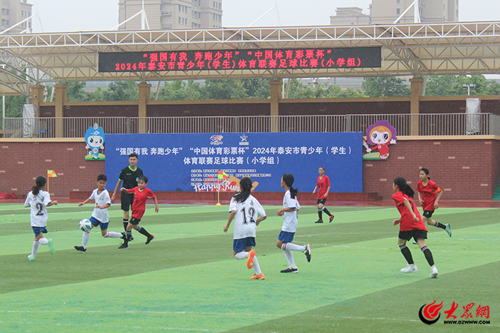 泰安三大发力点激活足球发展新生态 构建可持续发展新模式