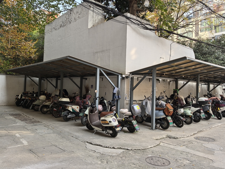 球盟会：共建共治共享 南京探索大城“善治”新路径(图2)